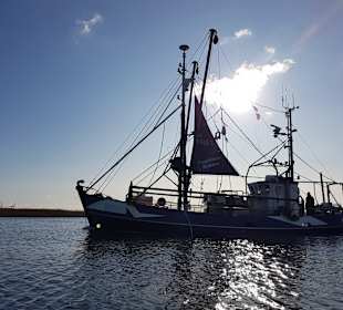 Fischereihafen Wremen