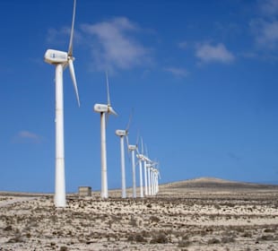 Wanderung zur Westküste