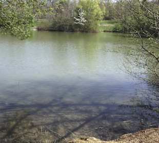 Sport- und Freizeitpark Markwasen