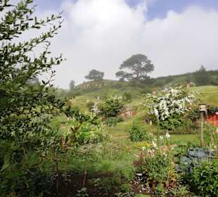 Hobbiton