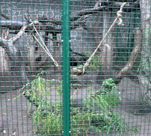 Tierpark