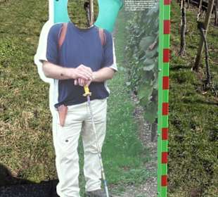 Weinerlebnisweg