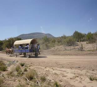 Sulla strada per il Canyon