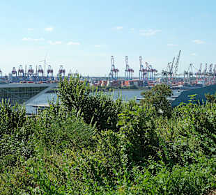 Blick vom Altonaer Balkon