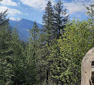 ...viele Farben am Mittag!