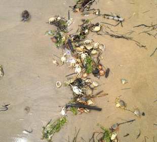 Strand Bibione 06_2011