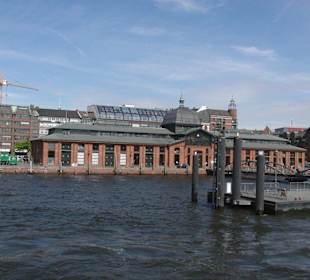 Hadag  Linie 62 - auf dem Weg zum Elbstrand