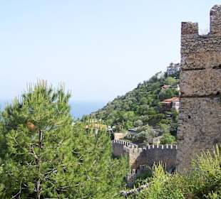 Burgberg mit Festungsmauer