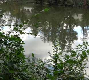 Pumptrack und Skatepark