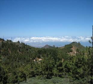 Auf dem Dach Gran Canarias