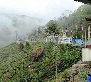 Teehaus Margaret's Deck 