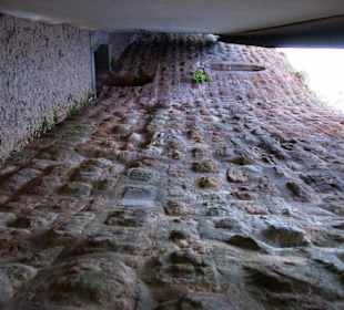 Hinten an der Burgmauer