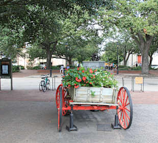 City Market