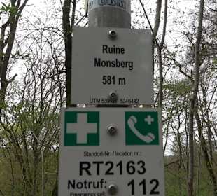 Ruine Monsberg