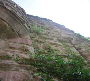Burgruine Drachenfels