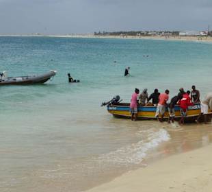 Sanat Maria - Fischer