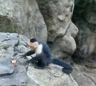 Diamante Eco Adventure Park