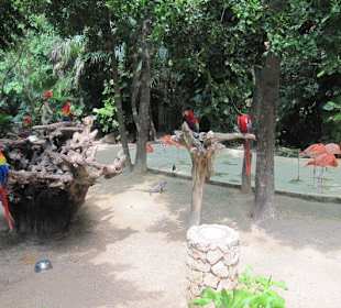 Xcaret