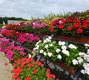 Eindrücke vom Rundgang durch den Park der Gärten