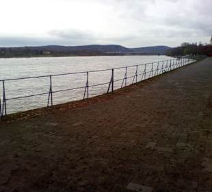 Rheinufer Bonn in Bonn