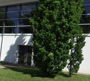 Sportgelände Burgstraße