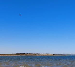 Bootstour Ria Formosa