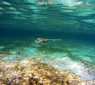 Schnorcheln Marsa Alam