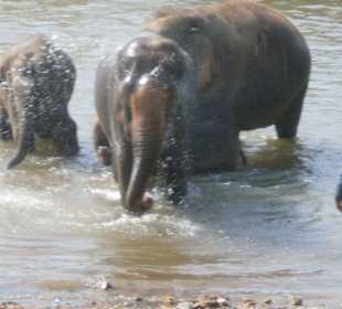 Baden ist was herrliches