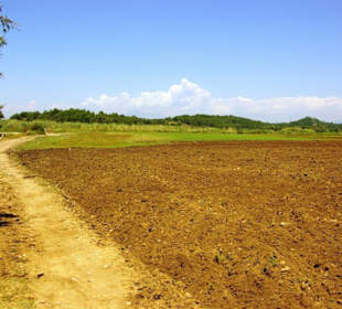 Seht euch diese Natur an...