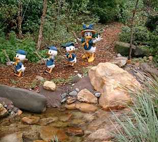 Daisy, Tick, Trick und Track