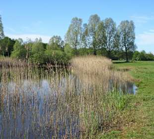 Eindrücke aus dem Wietzepark