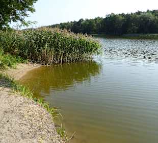 Der Beetzer See direkt am Hotel & Spa Sommerfeld