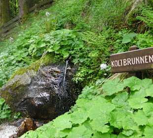 Wanderung zum Longfall