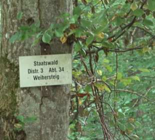 Altwege Rundwanderung Bebenhausen