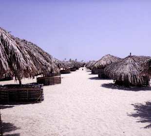 Abou Dabab (Marsa Alam)