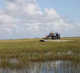 Airboat Gator Park