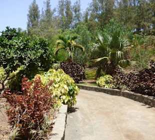 Schöner Garten