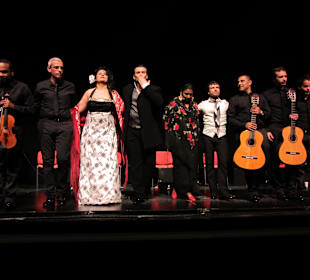 Opera y Flamenco! 