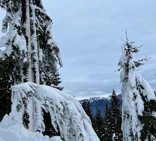 Wandern Schladming