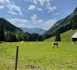 Wandern Donnersbachwald