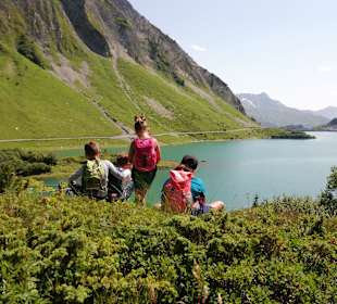 Formarinsee