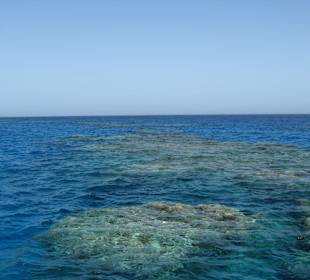 Schiffstour zum Riff Giftun Beach