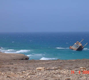 Wrack American Star