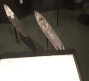 Museum für Völkerkunde