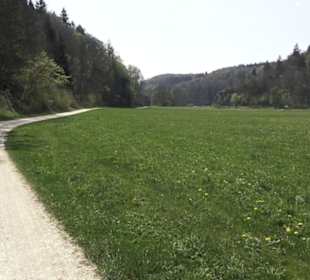 Waldlehrpfad an der Lauter