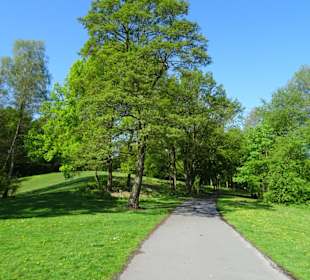 Spaziergang um den Sodenmattsee