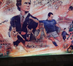 FIFA World Football Museum