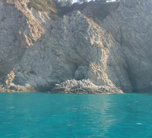 Strand Ricadi