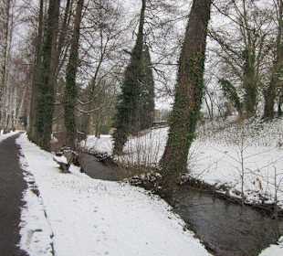 Altstadt Wissembourg im Winter