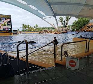 Loro Parque 